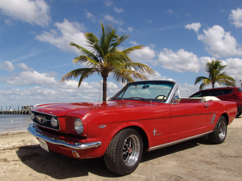 1966 Mustang Sally